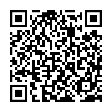 QR code for plate 6M 8617