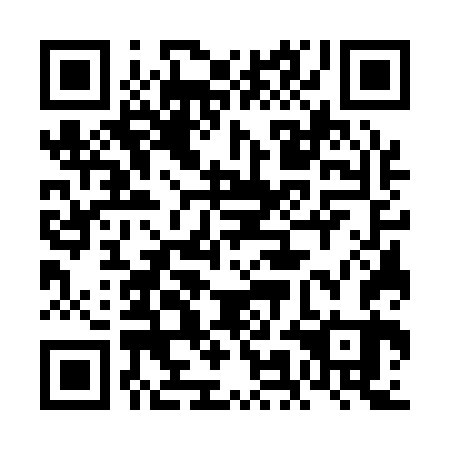 QR code for 6MG 163