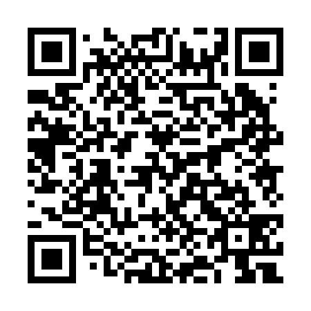 QR code for 6N 0239