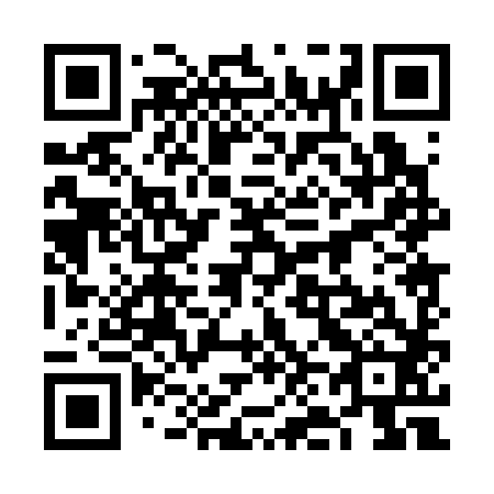 QR code for 6N 0382