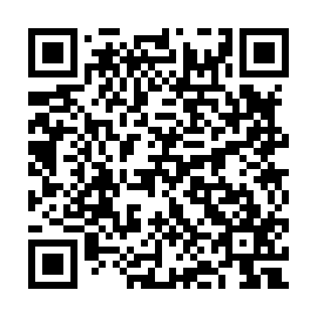 QR code for 6N 3817