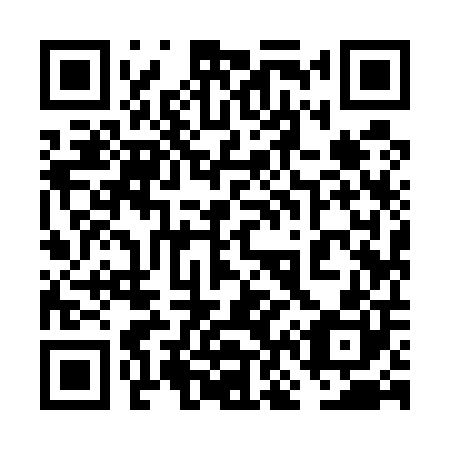 QR code for 6N 9500