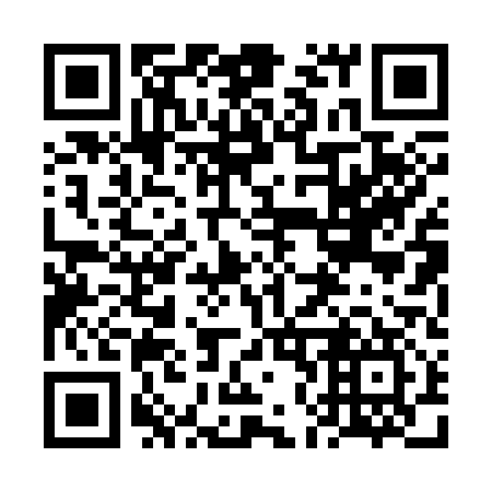 QR code for plate 6N 0317
