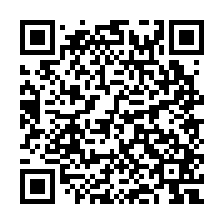 QR code for plate 6N 0341