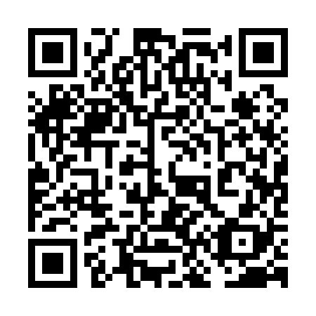QR code for plate 6N 1128