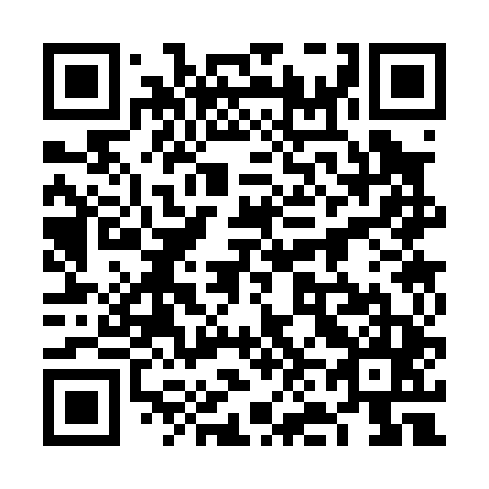 QR code for plate 6N 3045