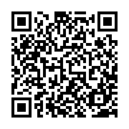 QR code for 6N4384
