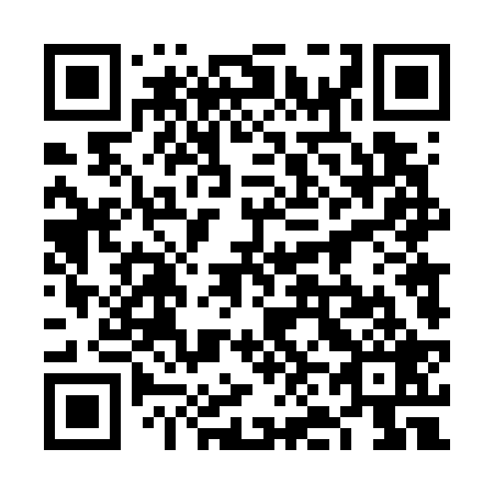 QR code for plate 6N 4729