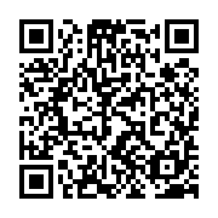 QR code for plate 6NK 595