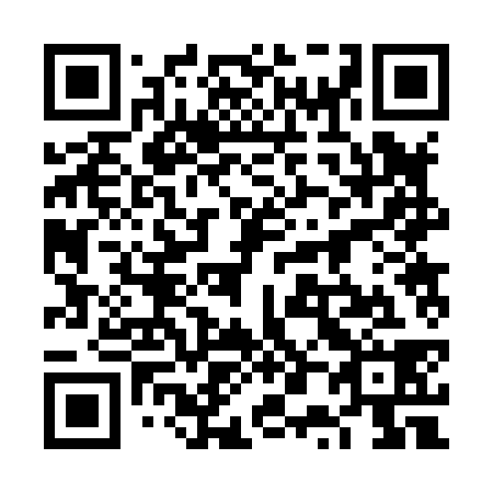 QR code for 6P 2838