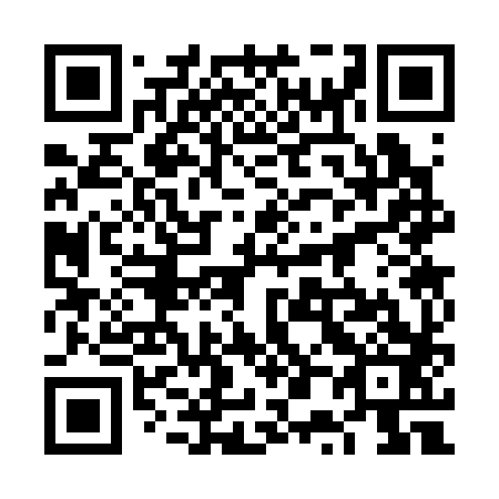 QR code for 6P 3383
