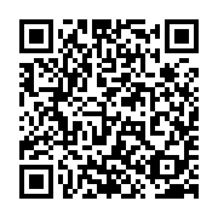 QR code for 6P 3999
