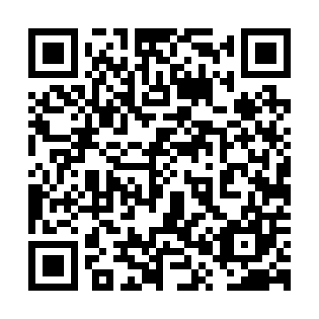 QR code for 6P 4207