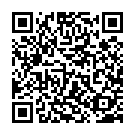 QR code for 6P 4509