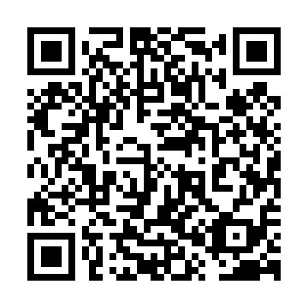QR code for 6P 5419