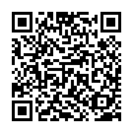 QR code for plate 6P 2009