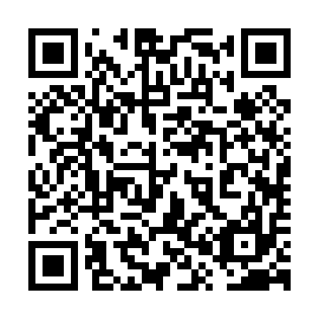 QR code for 6P2017