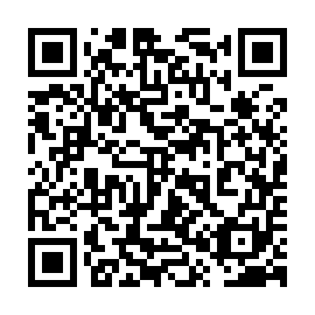 QR code for plate 6P 3951