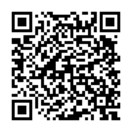 QR code for plate 6PG 405