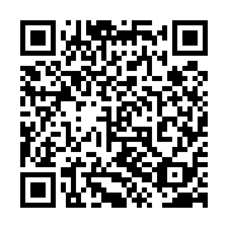 QR code for plate 6PG 519