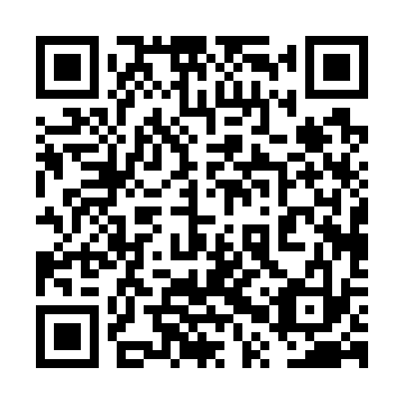 QR code for 6PP 733
