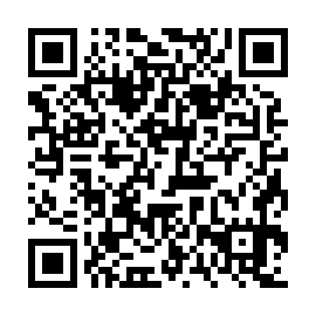 QR code for plate 6PS 875