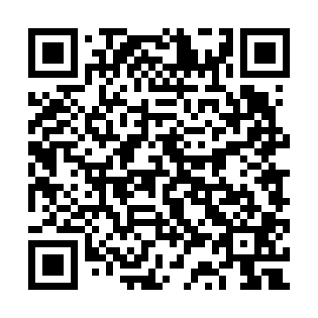QR code for plate 6S 4601