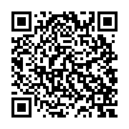 QR code for plate 6S 6307