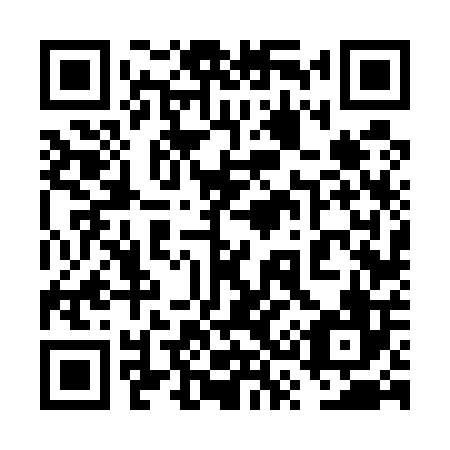 QR code for plate 6S 6506