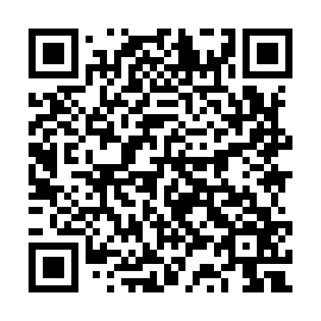 QR code for 6S9966