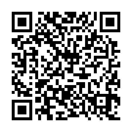 QR code for 6T6333