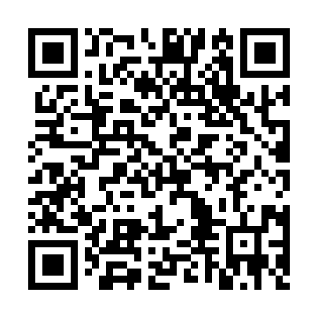 QR code for plate 6TH 196