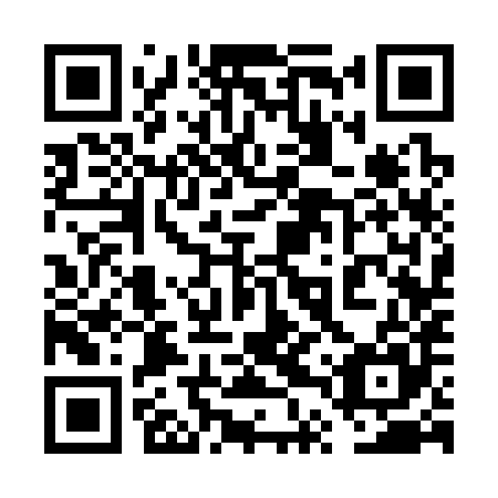 QR code for plate 6TS 385