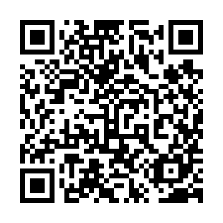 QR code for plate 6U 9685