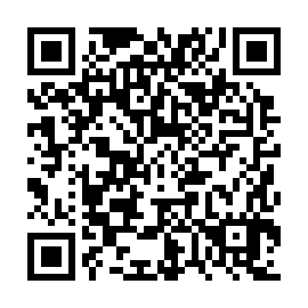 QR code for 6V 0387