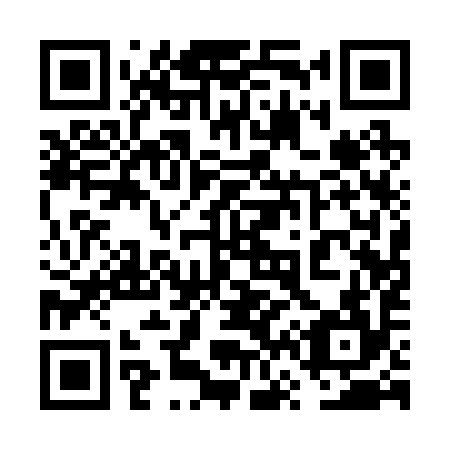 QR code for 6V 1294