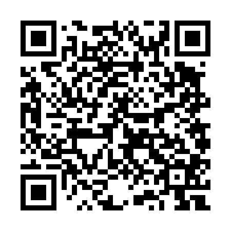QR code for 6V 6404