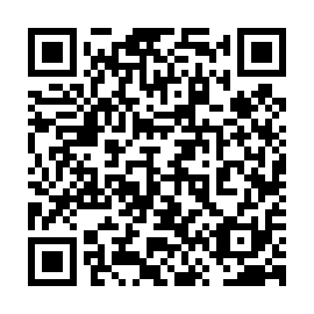 QR code for 6V 6411