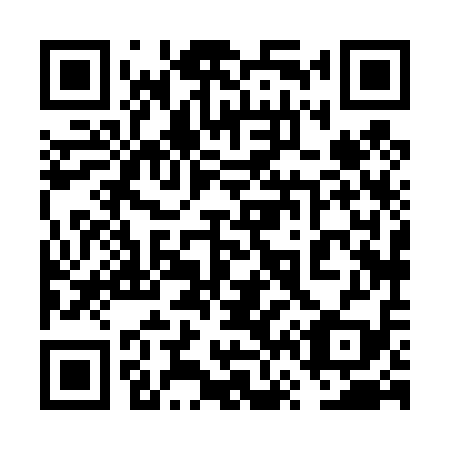 QR code for 6V 8419