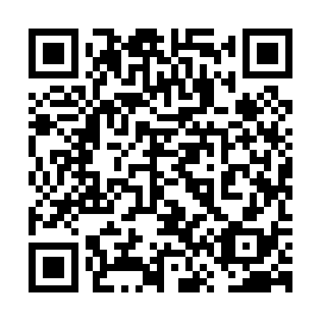 QR code for 6V 9038
