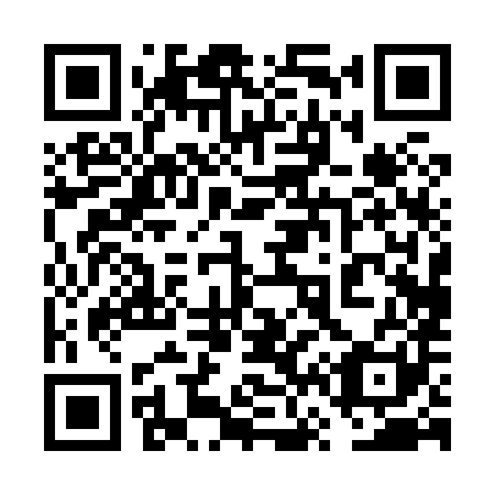 QR code for plate 6V 0881