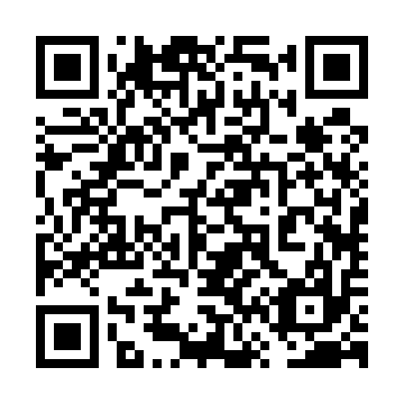 QR code for plate 6V 2517
