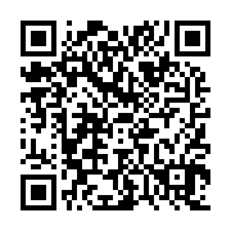 QR code for plate 6V 4904