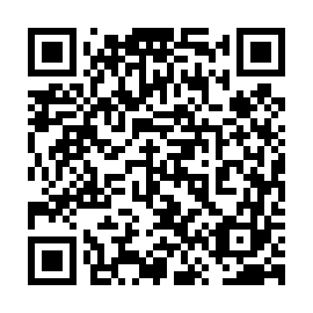 QR code for plate 6V 5463