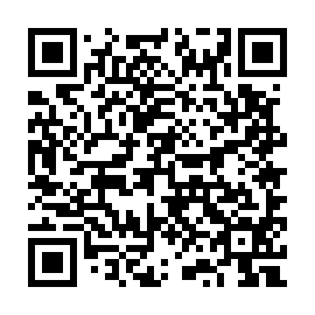 QR code for plate 6V 5594