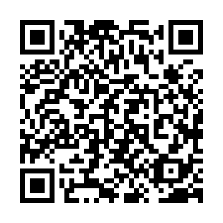 QR code for plate 6V 8938