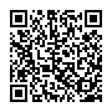 QR code for plate 6VD 411