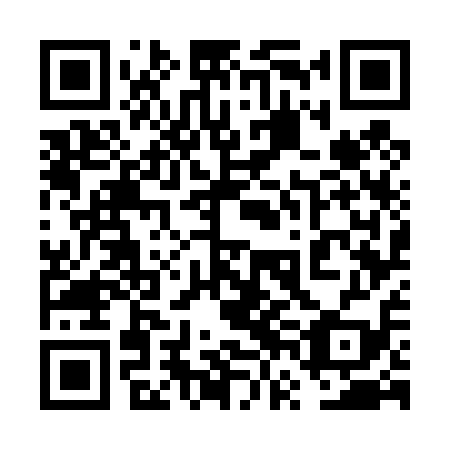 QR code for plate 6VG 419