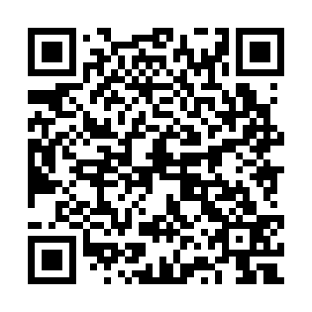 QR code for 6VX 333