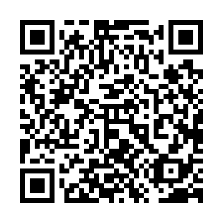 QR code for 6W 0738